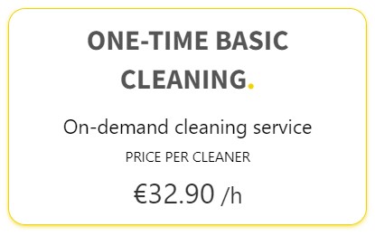 one time basic cleaning